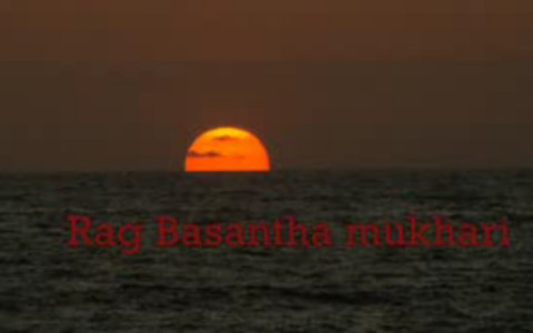 Rag Basantha Mukhari on Mohan Veena